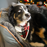 Hundelätzchen Tartan Dreams Pet Bandana