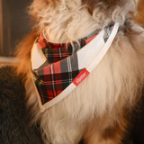 Hundelätzchen Tartan Dreams Pet Bandana