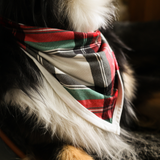 Hundelätzchen Tartan Dreams Pet Bandana